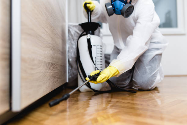 Best Affordable Pest Control Services  in Monongahela, PA