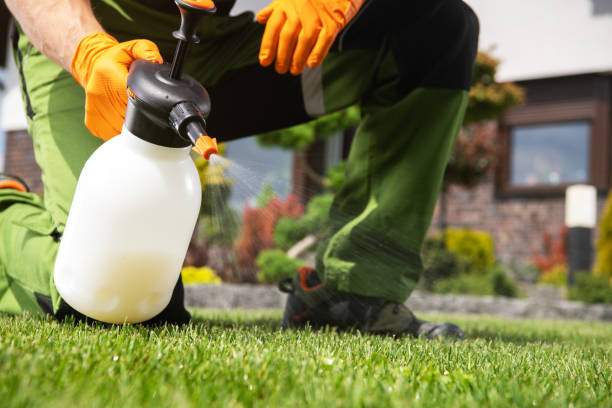 Reliable Monongahela, PA Pest Control Solutions