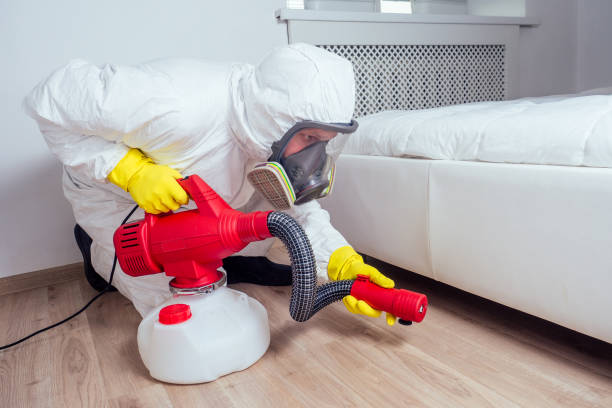 Flea Control Services in Monongahela, PA
