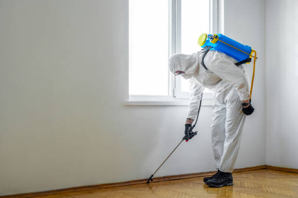 Best Wildlife Control Services  in Monongahela, PA