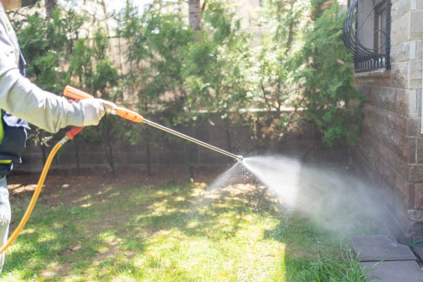 Best Pest Inspection Near Me  in Monongahela, PA