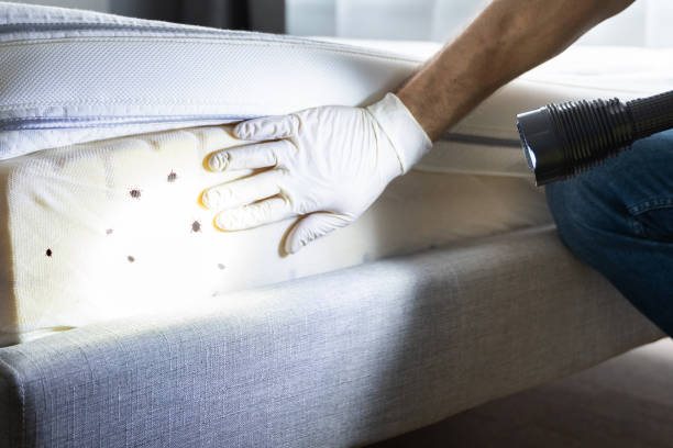 Best Best Pest Control Companies  in Monongahela, PA